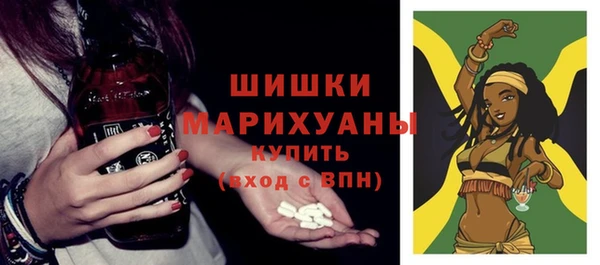 МДПВ Протвино
