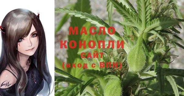 индика Каменка