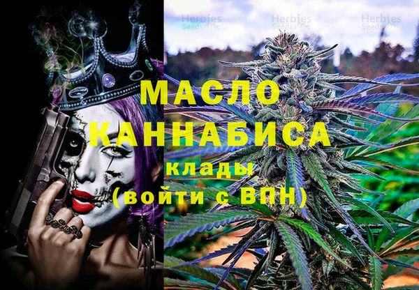 МДПВ Протвино