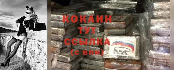 МДПВ Протвино
